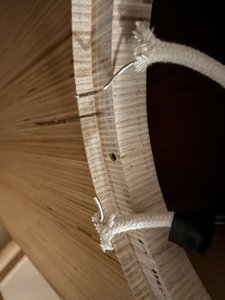 IMG_9101.jpeg