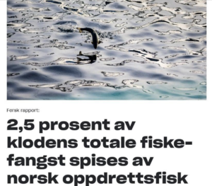 Skjermbilde 2024-02-12 kl. 19.41.42.png