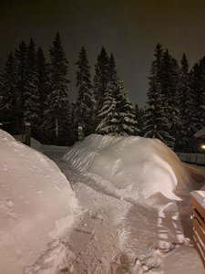 20240213_050251.jpg
