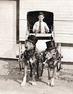 dogs-pulling-cart-detail.jpeg