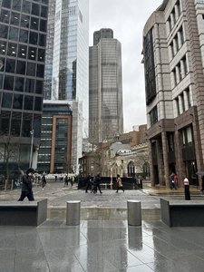 IMG_6304.jpeg