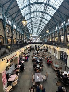 IMG_6317.jpeg
