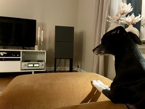 IMG_9600.jpeg