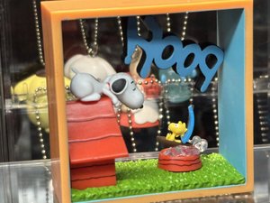 IMG_6392.jpeg
