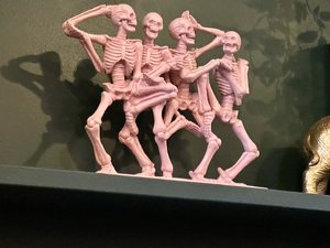 IMG_6387.jpeg