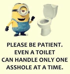 asshole toilet.jpg