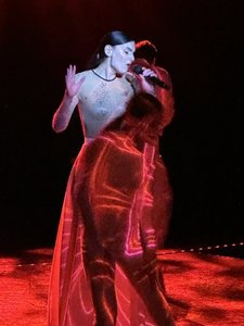 IMG_6674.jpeg