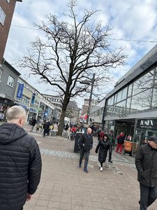 IMG_6684.jpeg