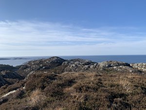 IMG_5915.jpeg