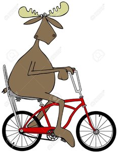 59493057-moose-riding-a-bicycle.jpg