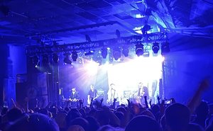 IMG_8226.jpeg