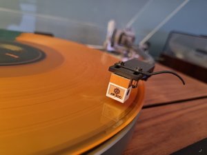 20240316_182035.jpg