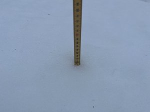 IMG_3406.jpeg