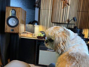 IMG_9373.jpeg