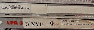 IMG_0250.jpeg
