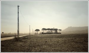 IMG_3078.jpeg