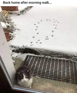 IMG_1122.jpeg