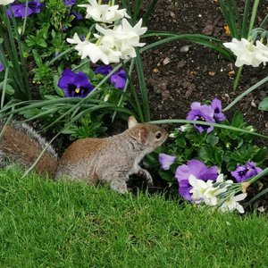 IMG_20240410_174850.jpg