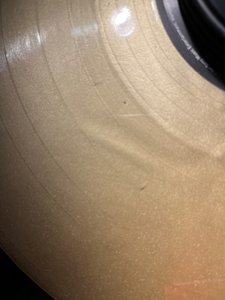 IMG_9470.jpeg