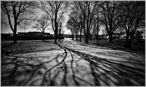 IMG_3369.jpeg