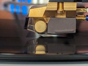 PXL_20240428_201835172.jpg