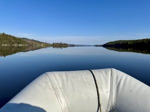 IMG_7339.jpeg
