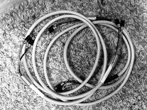 IMG_2987.jpeg
