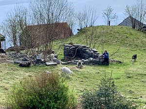 IMG_6298.jpeg