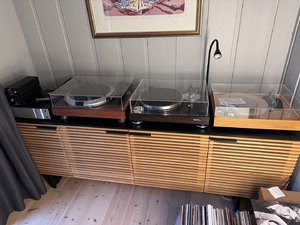 IMG_6345.jpeg