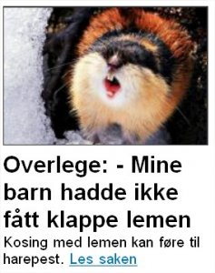 kosing med lemmen.jpg