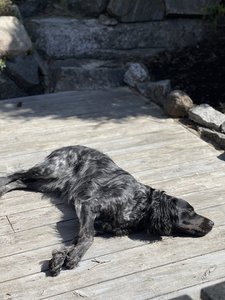 IMG_5891.jpeg