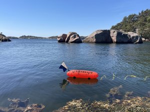 IMG_5029.jpeg