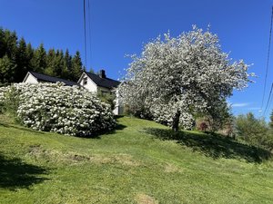 IMG_2076.jpeg