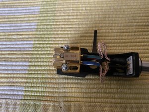 IMG_9416.jpeg