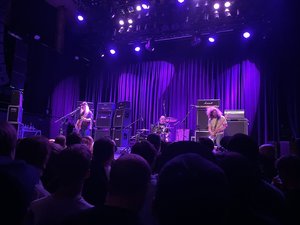 IMG_3911.jpeg