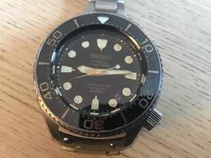 IMG_0590.jpeg