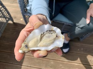 IMG_6604.jpeg