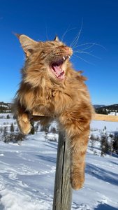 IMG_0411.jpeg