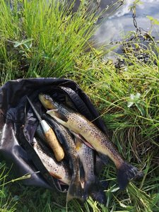 IMG_20240616_130813.jpg