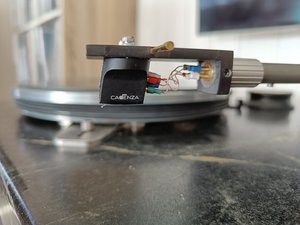 IMG20240618082106.jpg