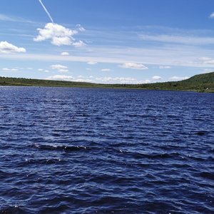 IMG_20240620_112942.jpg