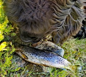 IMG_20240620_183441.jpg