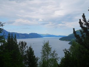 IMG_20240628_113918.jpg