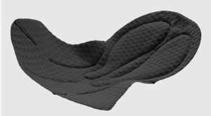 Assos pad.png