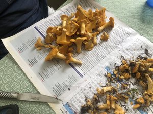 IMG_6689.jpeg
