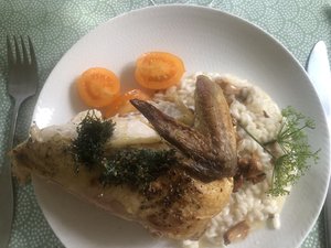 IMG_6690.jpeg