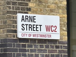 IMG_6311.jpeg