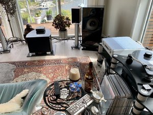 IMG_6916.jpeg